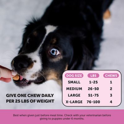 Image showing  Multivitamin 10-in-1 Chewable Supplements for Dogs, Chicken Flavor, 90 ct.