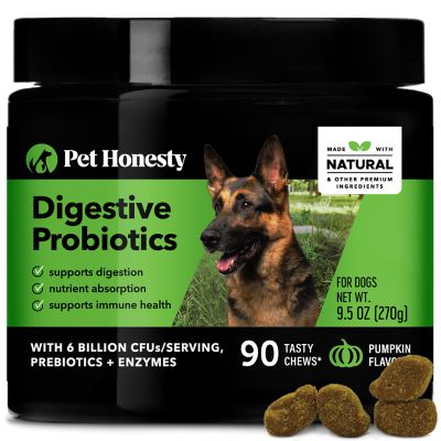 Pet Honesty Digestive Probiotics Pumpkin Flavor Soft Chews Dog Supplements