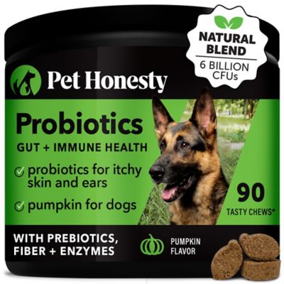 Pet Honesty Digestive Probiotics Pumpkin Flavor Soft Chews Dog Supplements