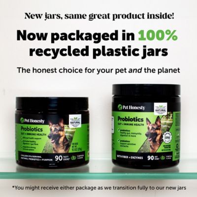 Image showing  Digestive Probiotics Soft Chew Supplements for Dogs, Pumpkin Flavor, 90 ct.