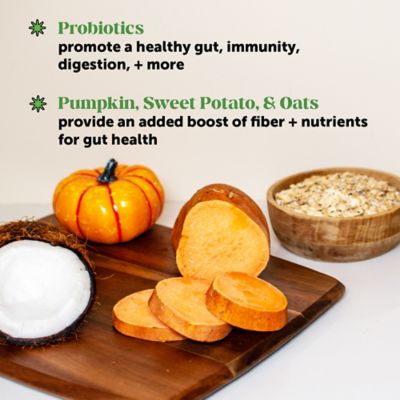 Image showing  Digestive Probiotics Soft Chew Supplements for Dogs, Pumpkin Flavor, 90 ct.