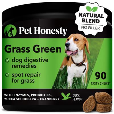 Pet Honesty Grass Green Duck Flavor Soft Chews Dog Supplements