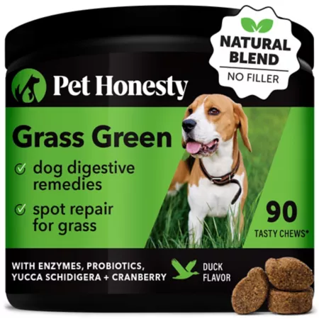 Soft Chew Supplements for Dogs Grass and Green Duck Flavor Honesty for Pets Dog Digestion Supplements