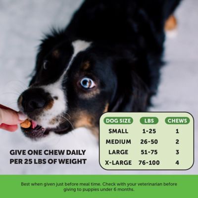 Image showing  Grass Green Soft Chewable Supplement for Dogs, Duck Flavor, 90 ct.
