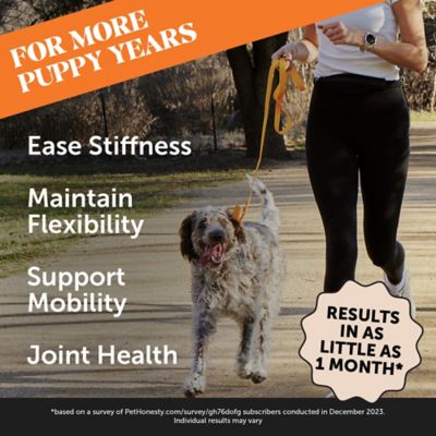 Image showing  Hip and Joint Health Soft Chewable Supplements for Dogs, Chicken Flavor