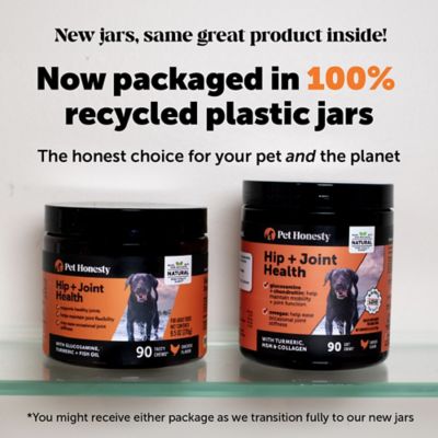 Image showing  Hip and Joint Health Soft Chewable Supplements for Dogs, Chicken Flavor
