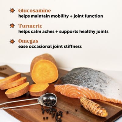 Image showing  Hip and Joint Health Soft Chewable Supplements for Dogs, Chicken Flavor