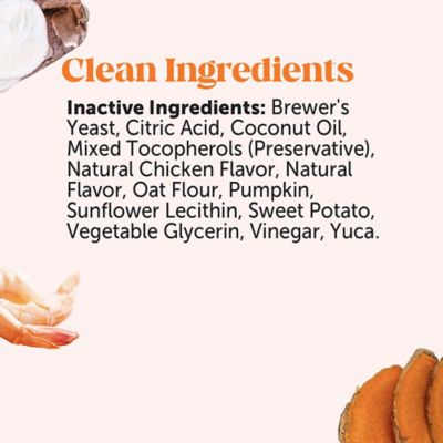 Image showing 6 th Pet Honesty Hip and Joint Health Soft Chewable Supplements for Dogs, Chicken Flavor