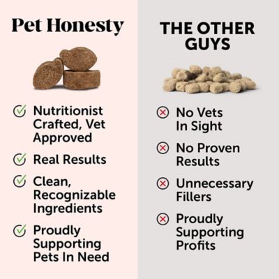 Image showing 8 th Pet Honesty Hip and Joint Health Soft Chewable Supplements for Dogs, Chicken Flavor