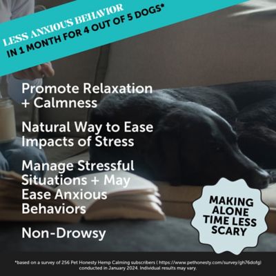 Image showing  Hemp Soft Chewable Calming Supplements for Dogs, Chicken Flavor, 90 ct.