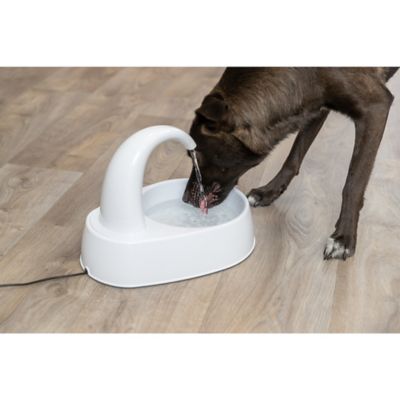 Image showing  84.5 oz. Curved Stream Automatic Plastic Pet Drinking Fountain