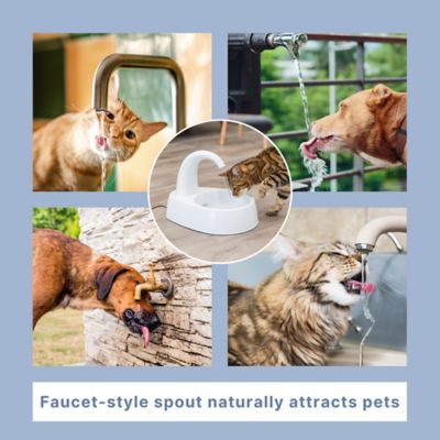 Image showing 6 th TRIXIE 84.5 oz. Curved Stream Automatic Plastic Pet Drinking Fountain