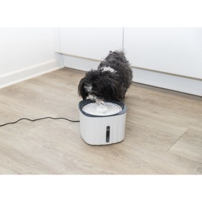 Image showing  84.5 oz. Flower Automatic Thermoplastic Pet Drinking Fountain