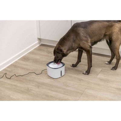 Image showing  84.5 oz. Flower Automatic Thermoplastic Pet Drinking Fountain