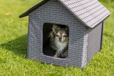 Image showing  Small Insulated Waterproof Outdoor Plastic Dog House