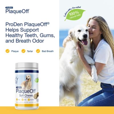 Image showing  PlaqueOff Soft Dental Dog Chews for Large and Giant Breed Dogs, 45 ct.