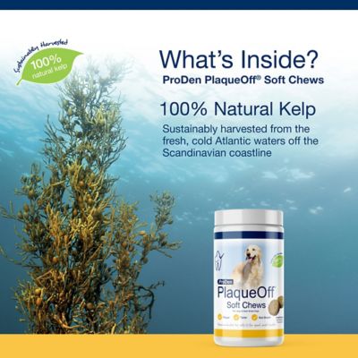 Image showing  PlaqueOff Soft Dental Dog Chews for Large and Giant Breed Dogs, 45 ct.