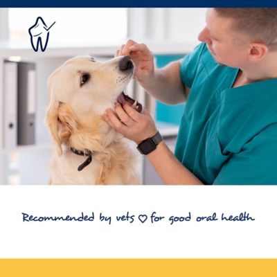 Image showing  PlaqueOff Soft Dental Dog Chews for Large and Giant Breed Dogs, 45 ct.