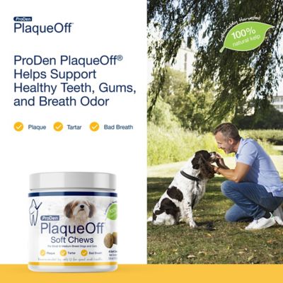 Image showing  PlaqueOff Soft Pet Dental Chews for Small and Medium Breed Dogs and Cats, 45 ct.