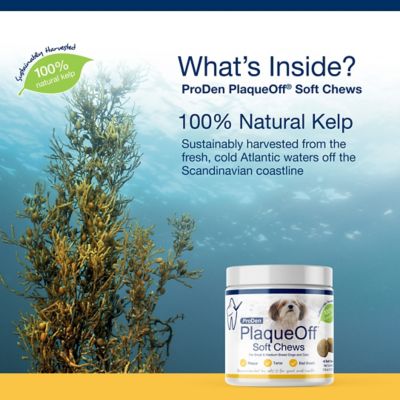 Image showing  PlaqueOff Soft Pet Dental Chews for Small and Medium Breed Dogs and Cats, 45 ct.