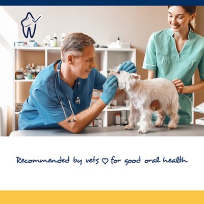 Image showing  PlaqueOff Soft Pet Dental Chews for Small and Medium Breed Dogs and Cats, 45 ct.