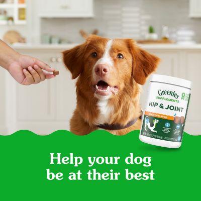 Image showing 5 th Greenies Hip and Joint Soft Chewable Supplements with Glucosamine and Chondroitin for Adult Dogs of All Sizes, Chicken, 30 ct.