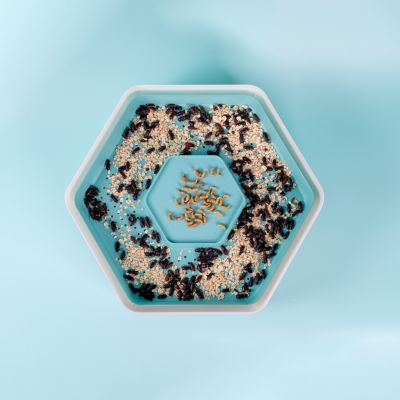 Image showing  Mealworm Breeding and Growing Pod