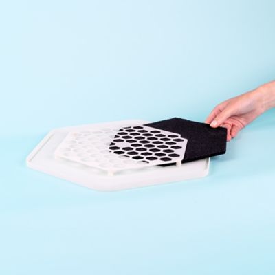 Image showing  Mealworm Breeding and Growing Pod