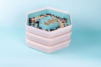 Image showing  Mealworm Breeding and Growing Pod