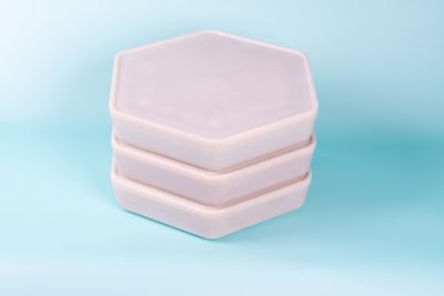 Image showing  Mealworm Breeding and Growing Pod