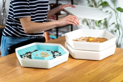 Image showing 6 th The Bug Factory Mealworm Breeding and Growing Pod