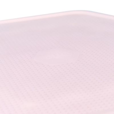 Image showing  Mealworm Storage Tray (Beetle Tray Not Included)