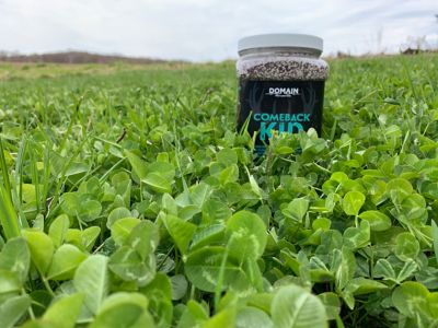 Image showing  Comeback Kid Food Plot Mix, CBKFP375