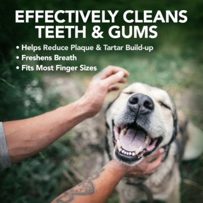 Image showing  Dental Care Finger Wipes for Dogs and Cats, Mint, 50 ct.