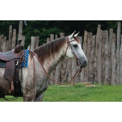 Image showing  Protack Headstall with Designer Hardware, Browband