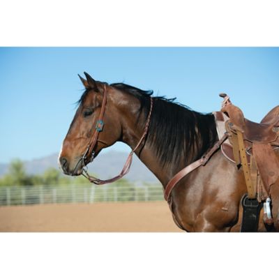 Image showing  Protack Headstall with Designer Hardware, Sliding Ear