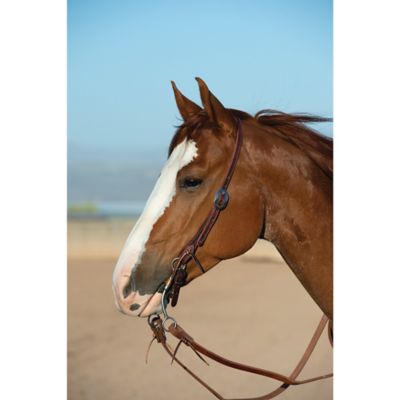 Image showing  Burgundy Latigo Leather Performance Headstall, Split Ear, 10057-02-06