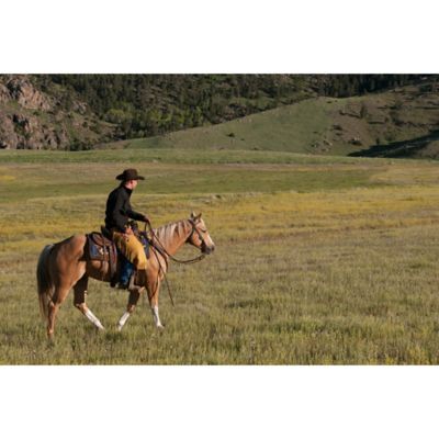 Image showing  Working Tack Browband Headstall, Rope Edge Hardware, Golden Chestnut