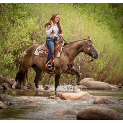 Image showing  Working Tack Feather Designer Hardware Straight Browband Headstall