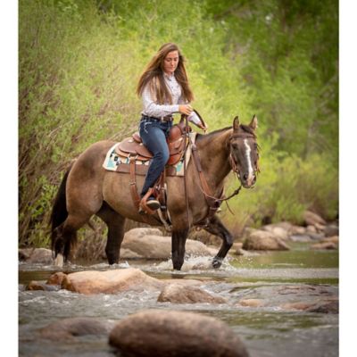Image showing  Working Tack Feather Designer Hardware Straight Browband Headstall