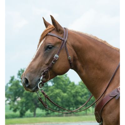Image showing  Working Tack Chevron Designer Hardware Straight Browband Headstall
