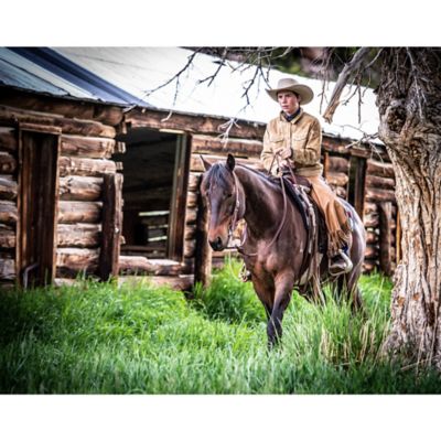 Image showing  Working Tack Chevron Designer Hardware Sliding Ear Headstall