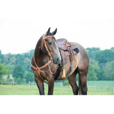 Image showing  Texas Star Leather Browband Headstall, Hermann Oak Harness Leather