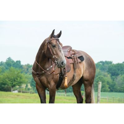 Image showing  Texas Star Leather Browband Headstall, Oiled Canyon Rose Harness Leather