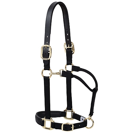 Weaver Leather Halter Crown Replacement - The Tack Trunk