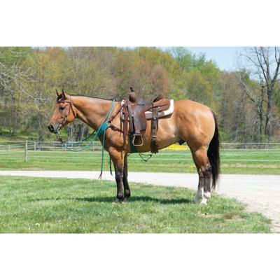 Image showing  Ecoluxe Straight Cinch