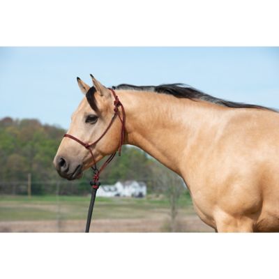 Image showing  Silvertip Transition Rope Halter with Sliding Ring
