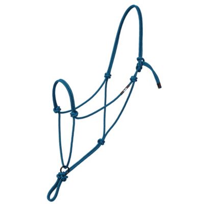Image showing  Transition Rope Halter with Sliding Ring