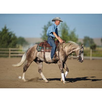 Image showing  Natural Fit Performance Saddle Pad, 33 in. x 38 in., 36000-6142-341