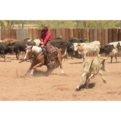 Image showing  Contoured Performance Saddle Pad, 32 in. x 34 in. x 1 in. Thick, 36001-5662-323